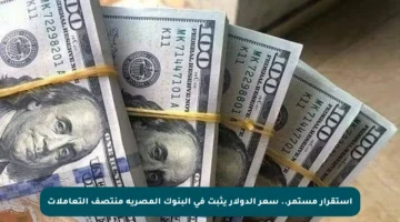 استقرار مستمر.. سعر الدولار يثبت في البنوك المصرية منتصف التعاملات